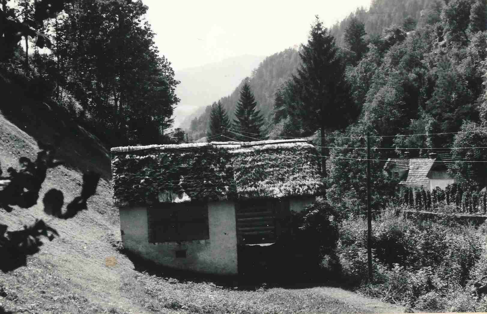 eika image